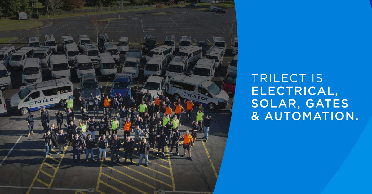 Energizing-2024-Trilects-Sparks-of-Success Energizing 2024: Trilect's Sparks of Success!