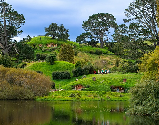 Trilect-waikato-1 Trilect Branches